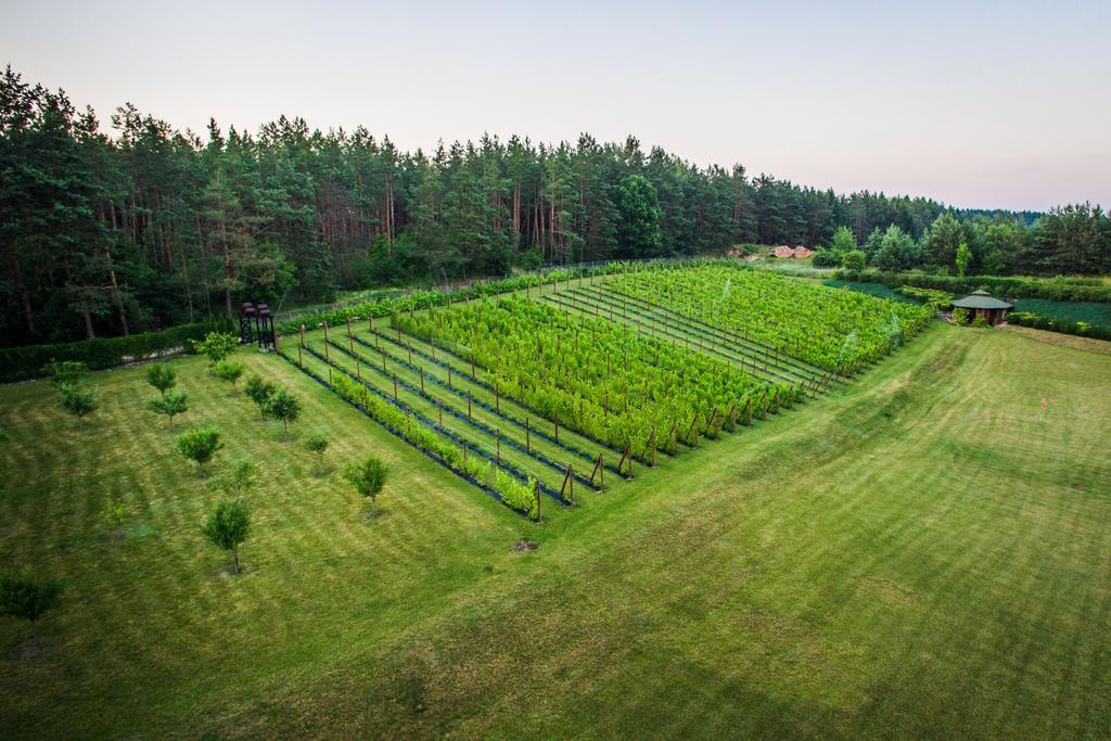 Warminska Winnica บาร์คเชโว ภายนอก รูปภาพ